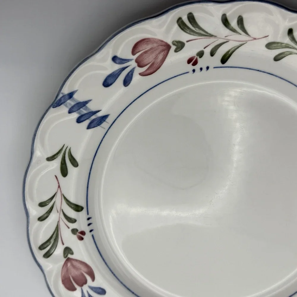 Vtg Provincial Designs Nikko Japan 2 Dinner Plates 10.25